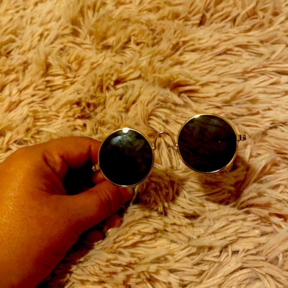 Dog sunglasses